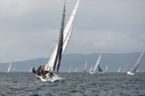 stealthy 2591c start whyw24 mon 800 5606